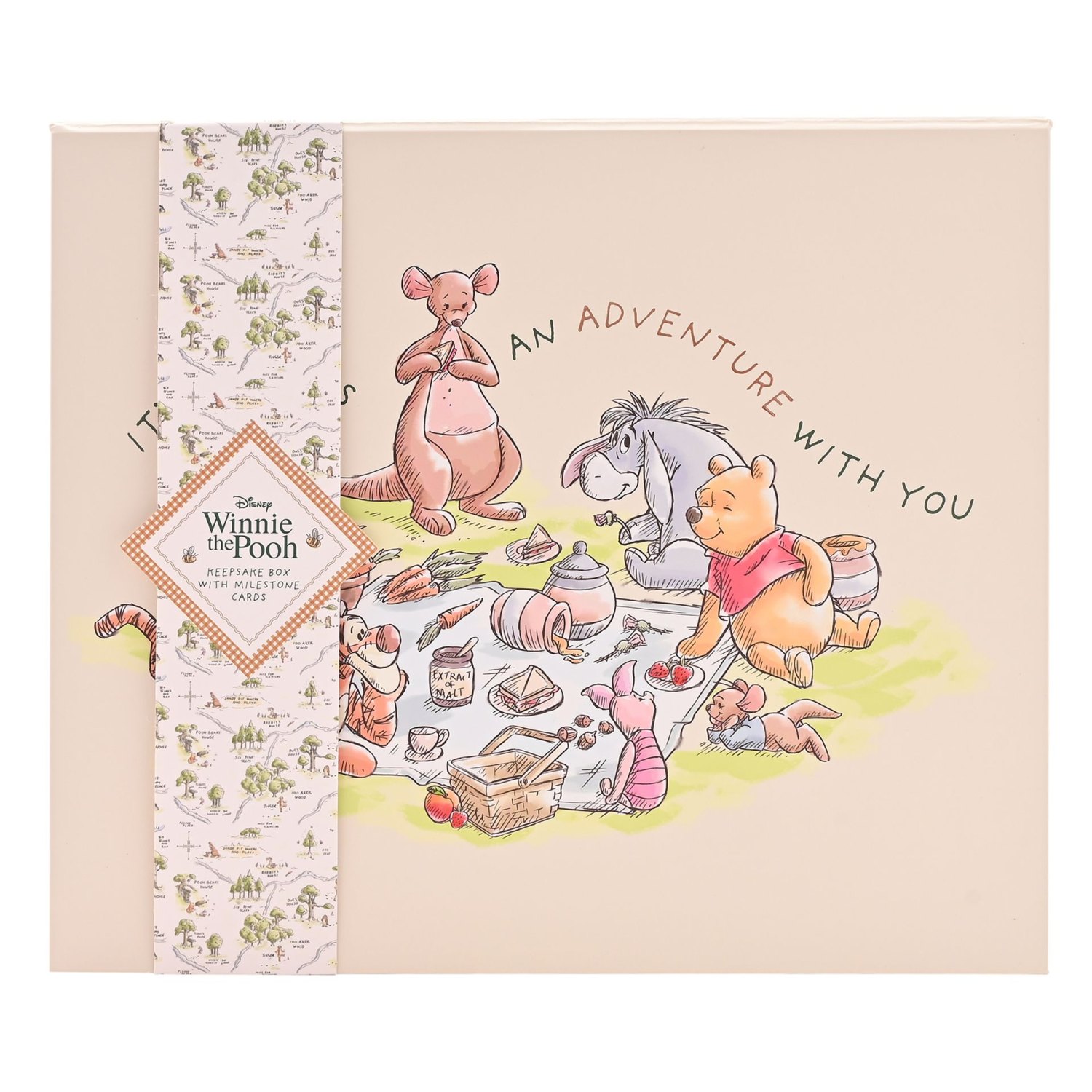 Disney Winnie the Pooh Keepsake Box with 12 Milestone Cards5