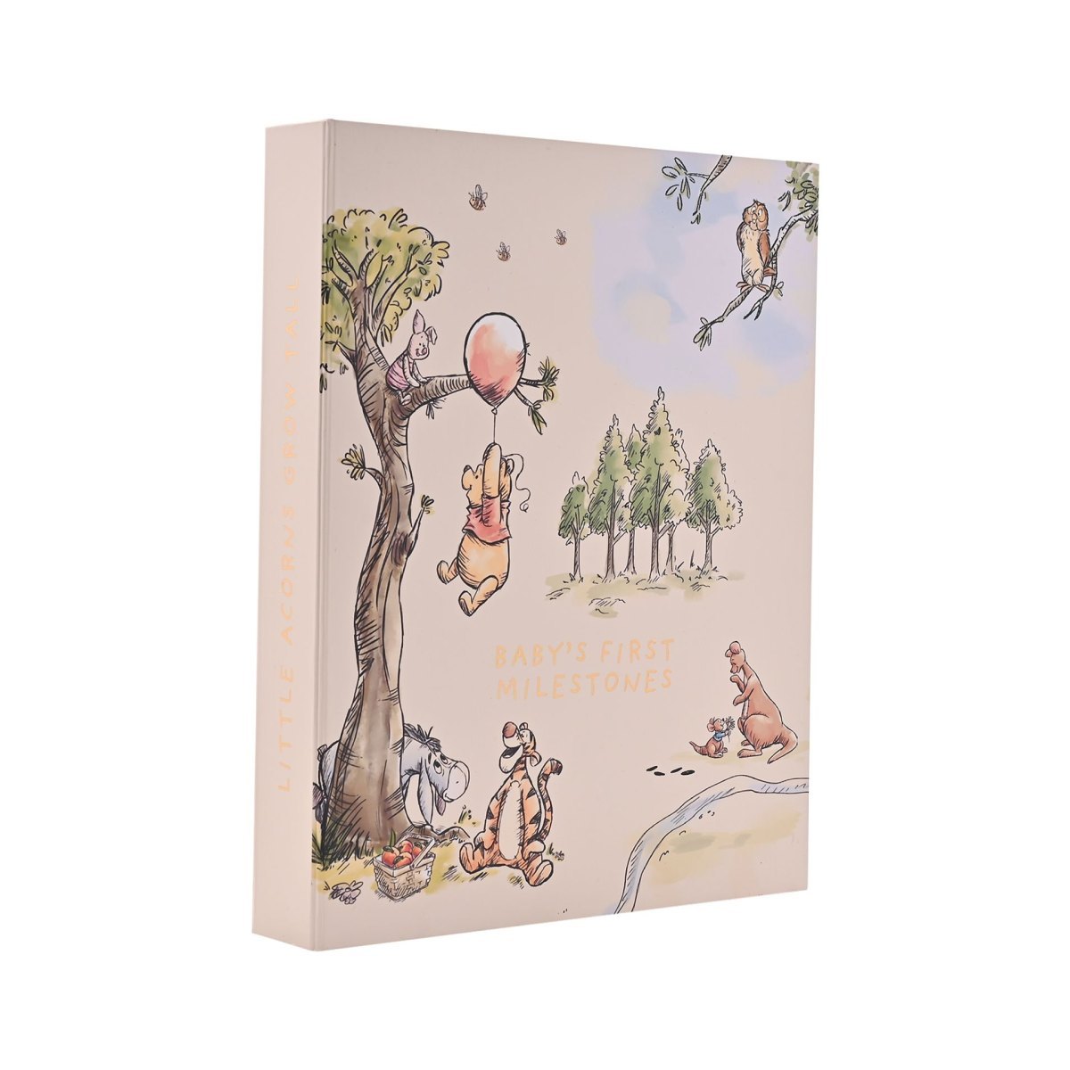 Disney Winnie the Pooh Milestone Album with 30 Cards