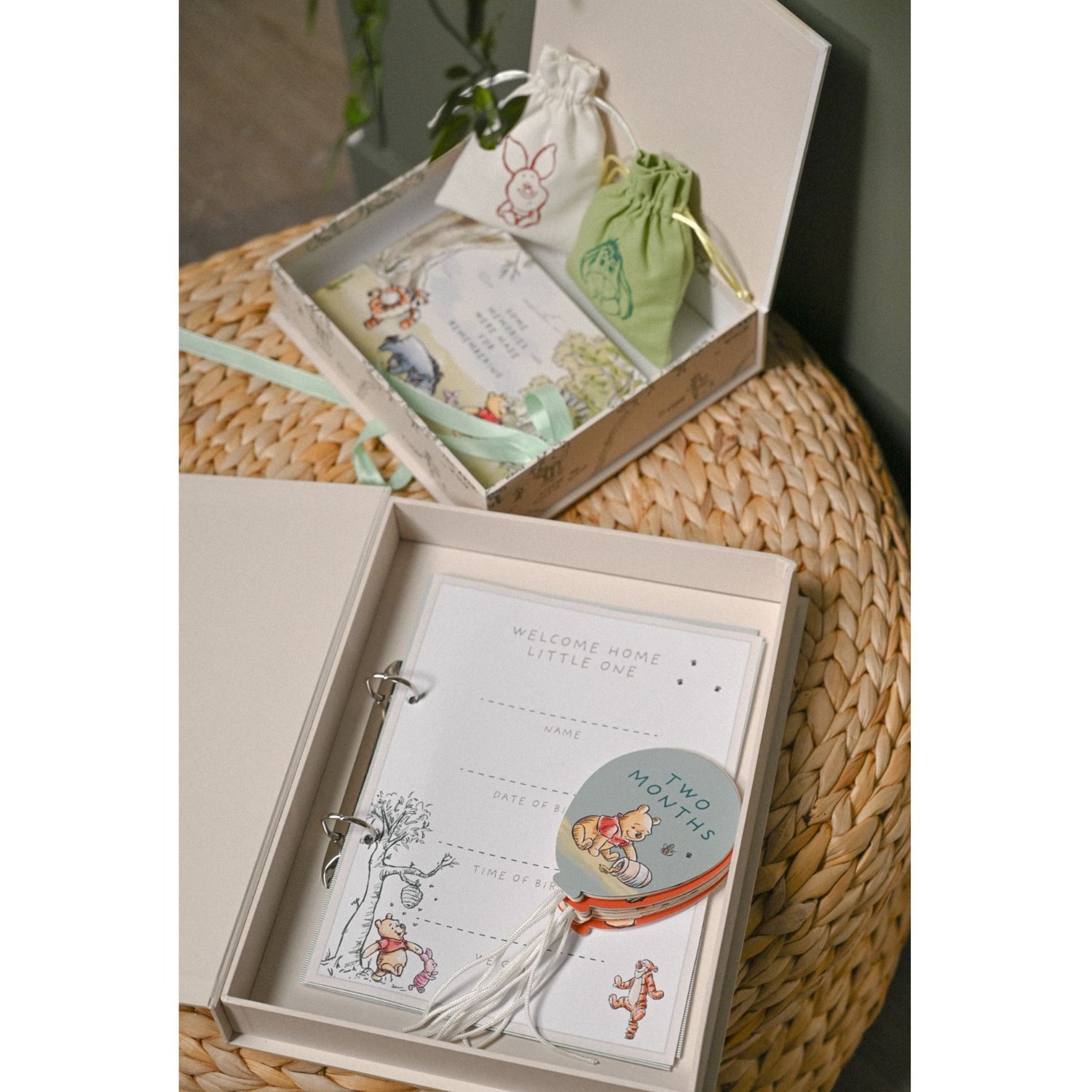 Disney Winnie the Pooh Milestone Album with 30 Cards5