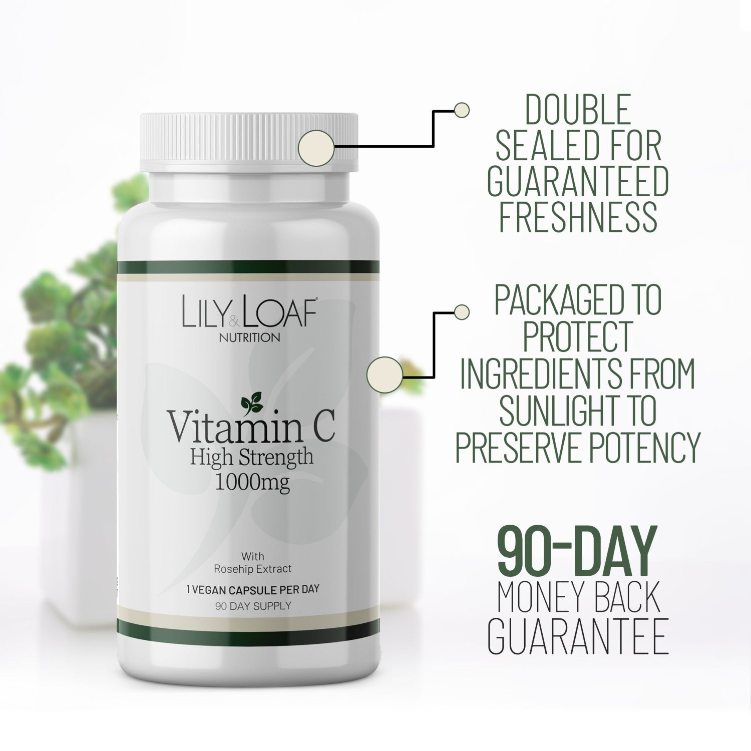 Lily & Loaf Vitamin C High Strength 1000mg – 90-Day Supply3